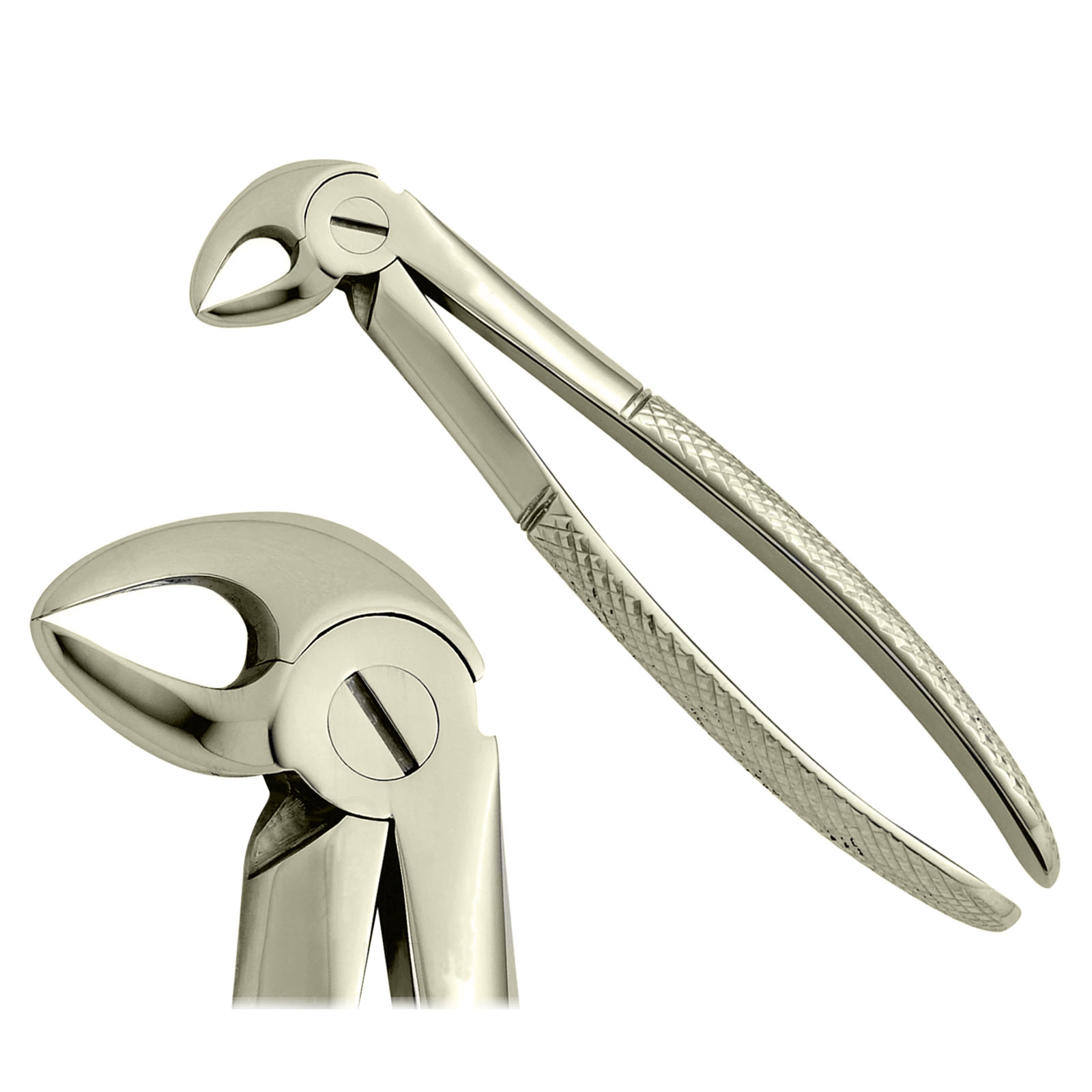 Immagine di Pinza per Estrazione Dentale Fig 33 