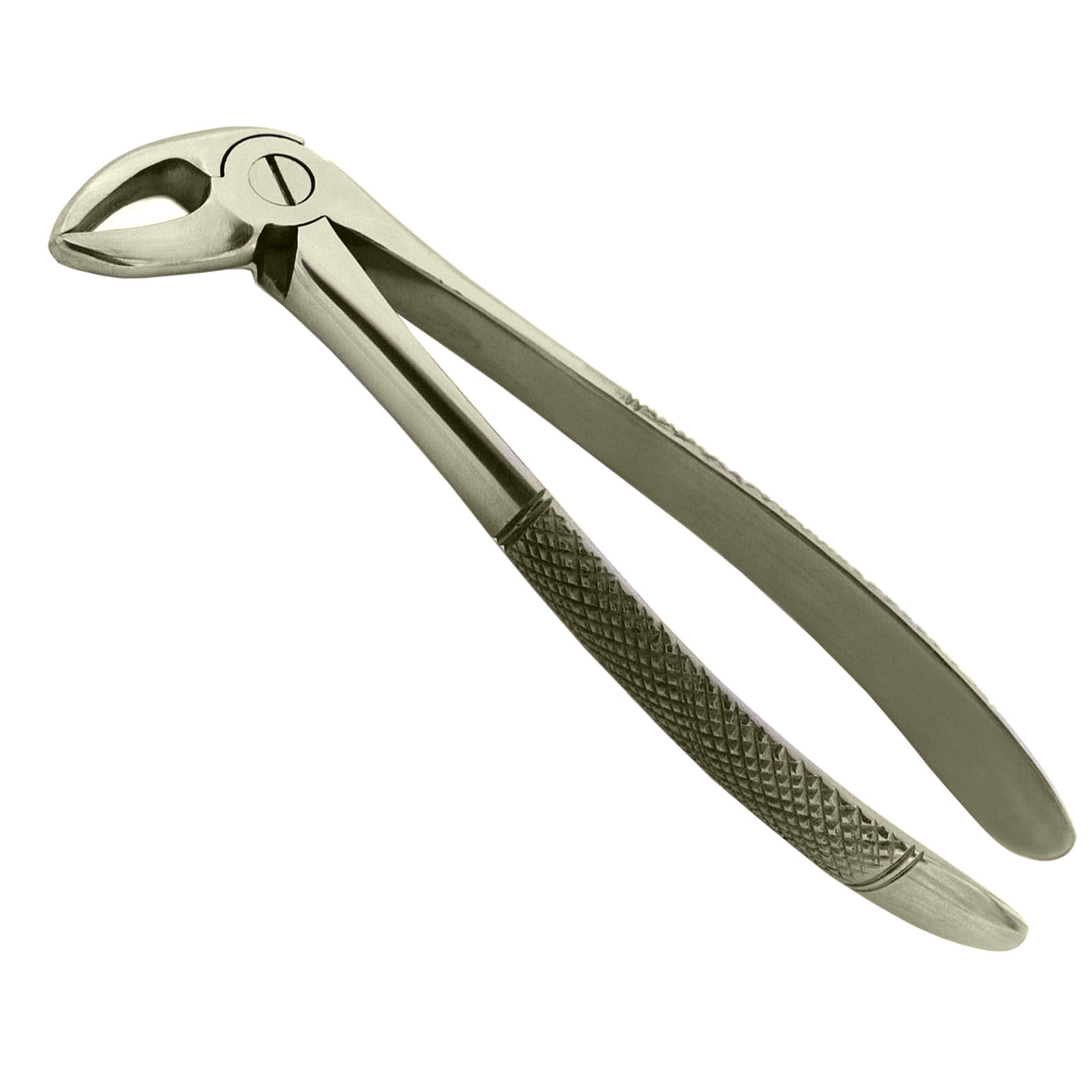 Immagine di Forcipe da Estrazione Dentale Fig 13